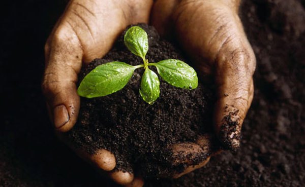 the JTDC Foundation funded Karma Garden is teaching youth gardening skills while planting the seeds of positive change in their lives.